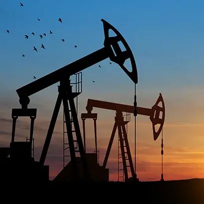 نرم افزار یکپارچه صنعت نفت، گاز و پتروشیمی